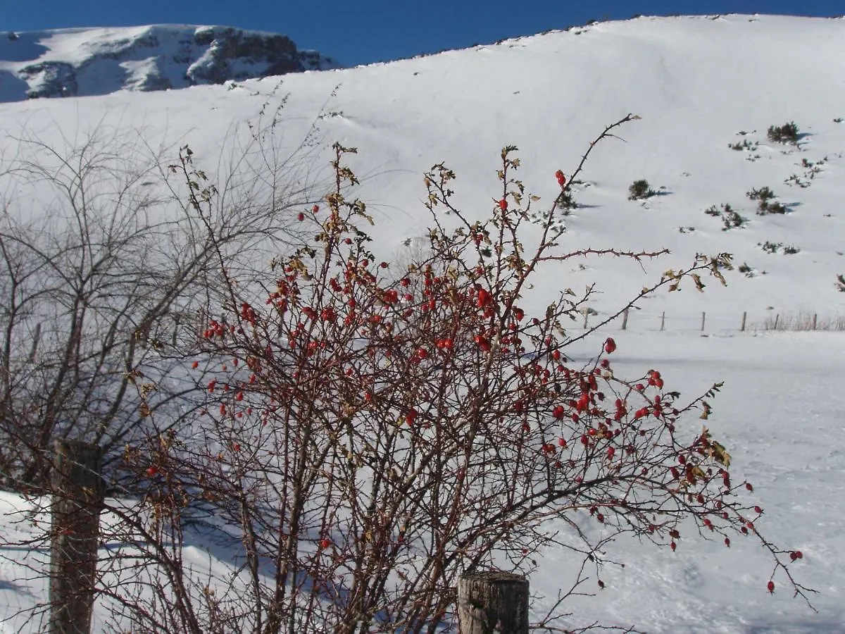 Le Sivarol Bed & Breakfast Ignaux 3*,